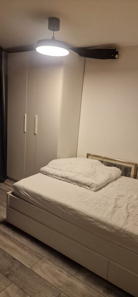 Petre Ispirescu Pecineaga